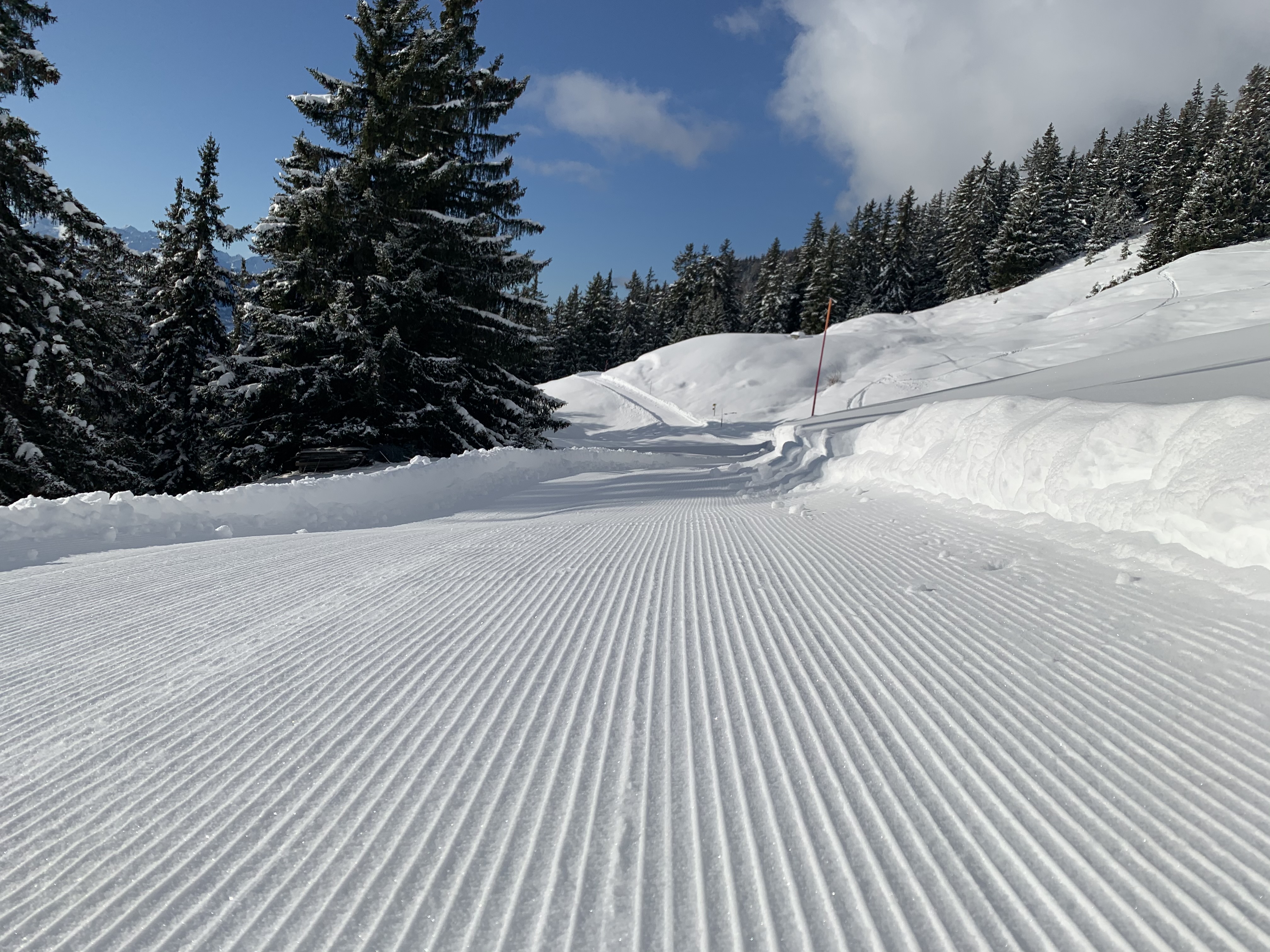 Media: Image_courses/2021/Winter-Trail-image-1.jpg